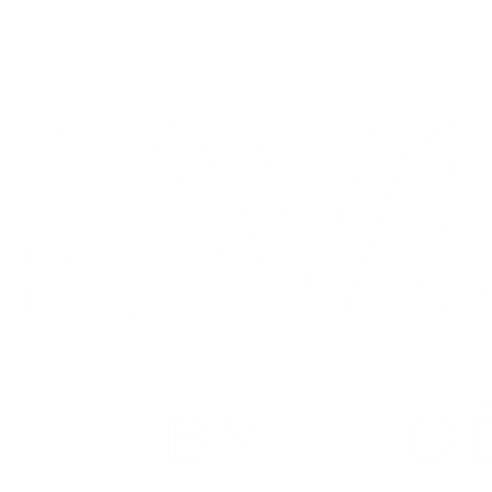 Faeves logo white